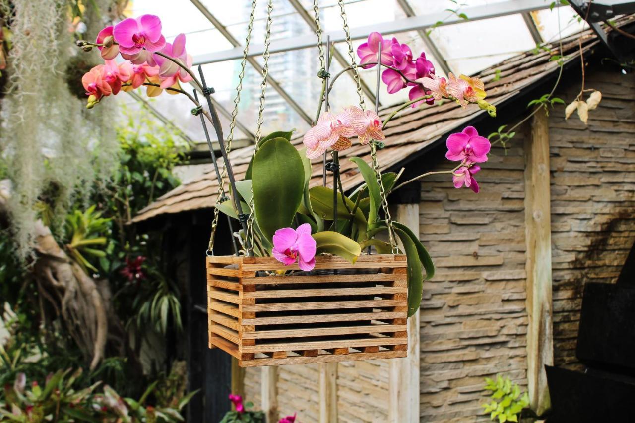 Villa Orchid Garden Riverside هوي ان المظهر الخارجي الصورة